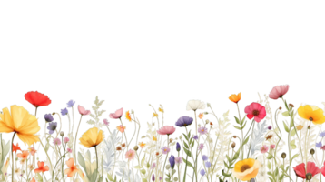 Dainty wildflowers border isolated on transparent background png