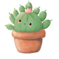 adorable mano dibujado cactus png