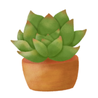 aanbiddelijk hand- getrokken cactus png