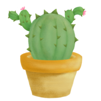 adorable mano dibujado cactus png