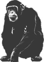 Silhouette Chimpanzee animal black color only vector