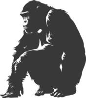 Silhouette Chimpanzee animal black color only vector