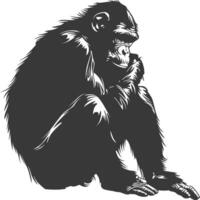 Silhouette Chimpanzee animal black color only vector