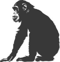 Silhouette Chimpanzee animal black color only vector