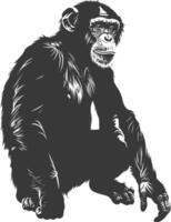 Silhouette Chimpanzee animal black color only vector