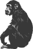 Silhouette Chimpanzee animal black color only vector