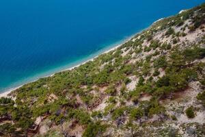 Aerial view of coastline with pine trees and transparent sea. Summer day at Black sea photo