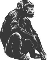 Silhouette Chimpanzee animal black color only vector