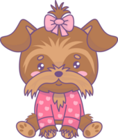 perro Yorkshire terrier niña en rosado ropa png