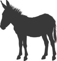 Silhouette donkey animal black color only vector