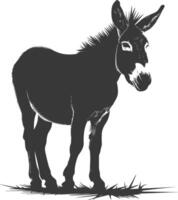 Silhouette donkey animal black color only vector