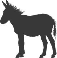 Silhouette donkey animal black color only vector