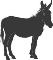 Silhouette donkey animal black color only vector