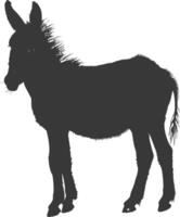 Silhouette donkey animal black color only vector