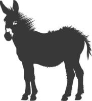 silueta Burro animal negro color solamente vector