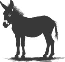 Silhouette donkey animal black color only vector