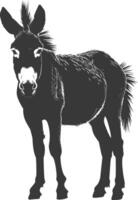 Silhouette donkey animal black color only vector