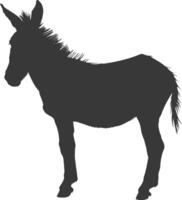 Silhouette donkey animal black color only vector