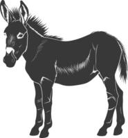 Silhouette donkey animal black color only vector