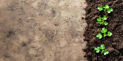 Earth with grass sprouts on a gray textured background. Seedlings in the soil. Regenerative and sustainable concept photo