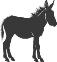 Silhouette donkey animal black color only vector