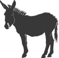 silueta Burro animal negro color solamente vector