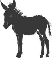 Silhouette donkey animal black color only vector