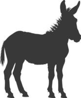 Silhouette donkey animal black color only vector