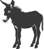 Silhouette donkey animal black color only vector