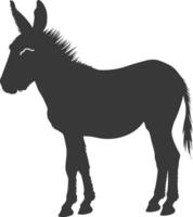 Silhouette donkey animal black color only vector