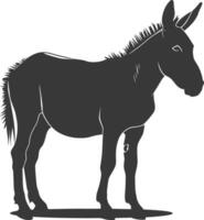 silueta Burro animal negro color solamente vector