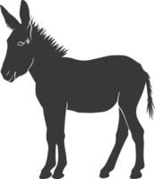 Silhouette donkey animal black color only vector