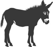 Silhouette donkey animal black color only vector