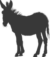 silueta Burro animal negro color solamente vector