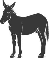 silueta Burro animal negro color solamente vector