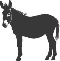 Silhouette donkey animal black color only vector