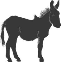 Silhouette donkey animal black color only vector