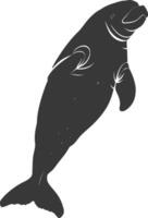 Silhouette dugong animal black color only vector