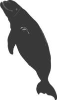 Silhouette dugong animal black color only vector