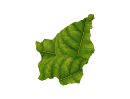 San Marino map made of green leaves ecology concept png