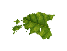 Estonia map made of green leaves ecology concept png