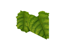 Libya map made of green leaves ecology concept png