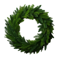 Green cedar wreath isolated on transparent background png