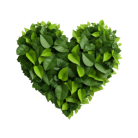 Green heart made of leaves isolated on transparent background png