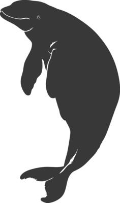 Silhouette dugong animal black color only