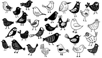 black and white hand-drawn childish set with various cute contour birds. Illustration doodle cartoon animal art. Outline collection sketch simple element. Pencil drawing scribble line vector