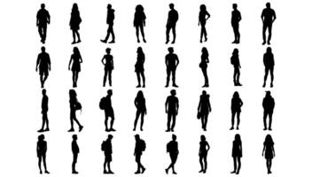 Silhouette people set on white background illustration. Collection group adult figure and business shape flat portrait character vector