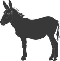 Silhouette donkey animal black color only vector