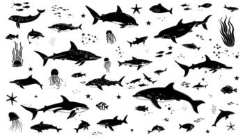 Big set of black white silhouette isolated sea ocean north animals illustration. Wildlife arctic cartoon symbol and underwater life. Exotic collection dolphin and jellyfish nature vector