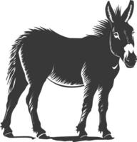 Silhouette donkey animal black color only vector